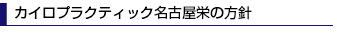 カイロプラクティック名古屋栄の方針